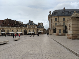 Lutte contre les nuisibles Dijon